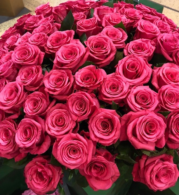 Oblica Rosa Buy Rose oblica wholesale in Dubai | Gulf Flowers