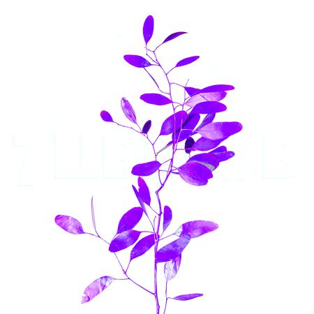 Листья Эвкалипт краш. металлик популус бадс пурпурный в Москве