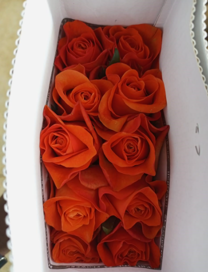 Rose оранж вейв