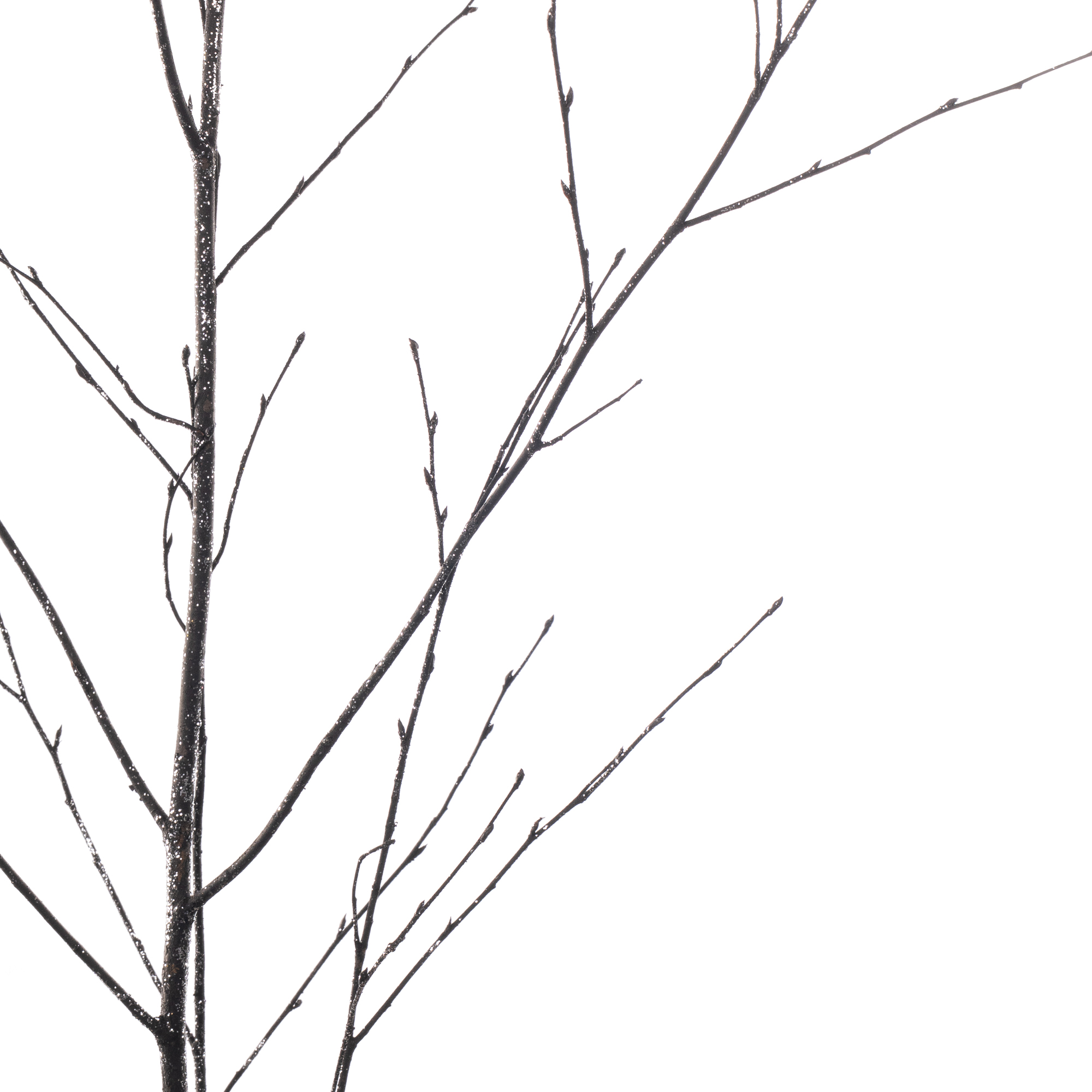 Ветки Береза березы краш черные с блесками в Москве