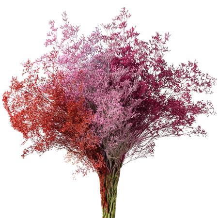 Лимониум краш микс