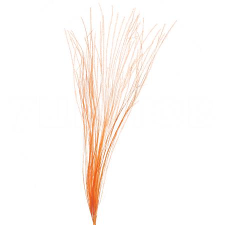 Пеннисетум сухой краш. оранжевый