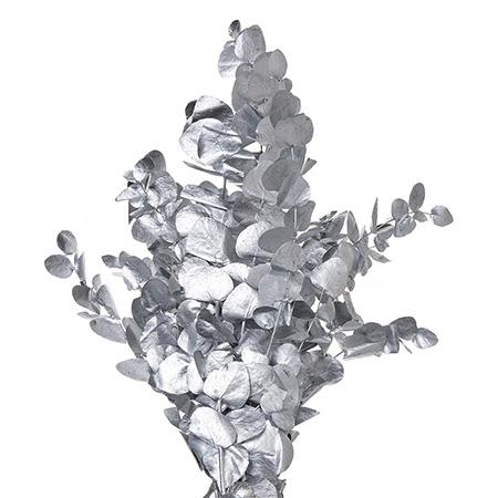 Листья Эвкалипт цинерея краш. серебро