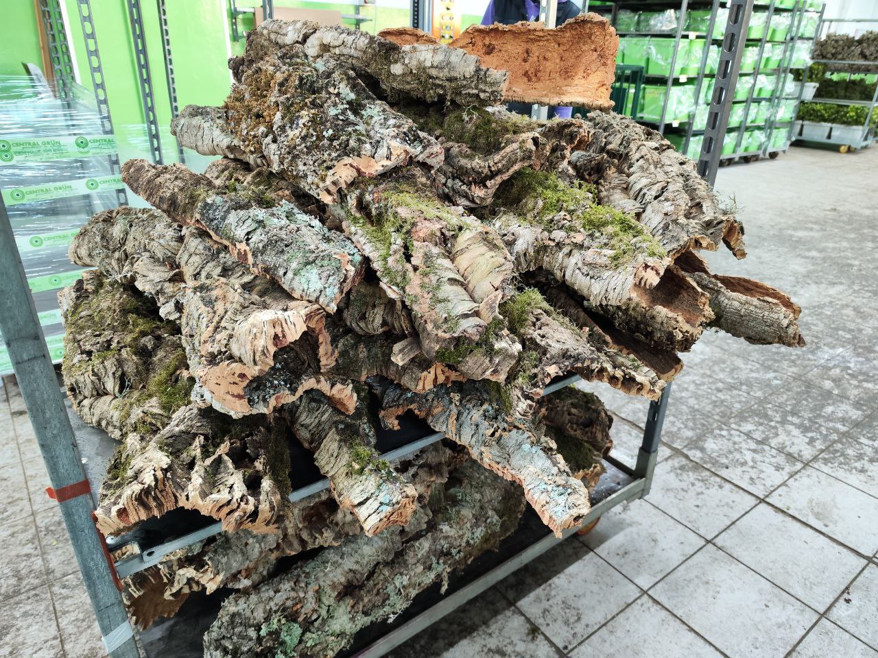 Кора Дерева Со Мхом 1,7 кг