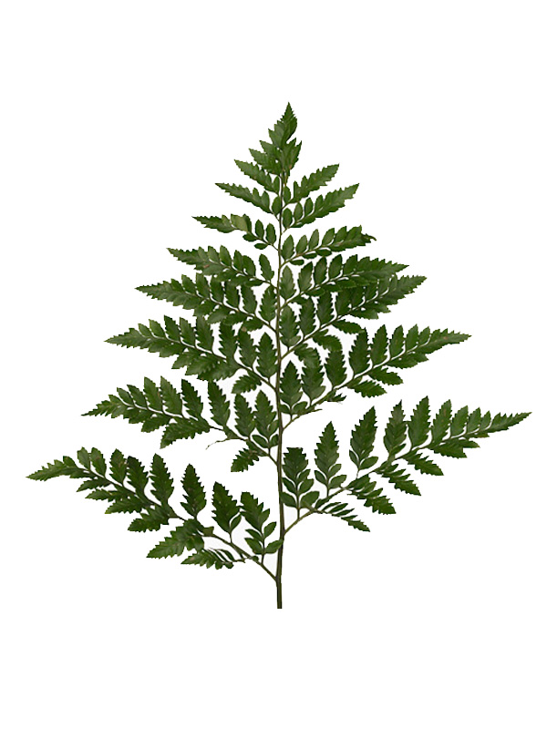 Blad Ledervaren small