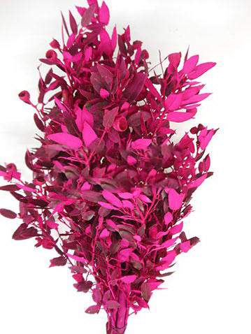 Листья Дуб краш. пурпурный в Москве