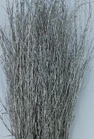 Ветки Береза краш. шампань с блестками