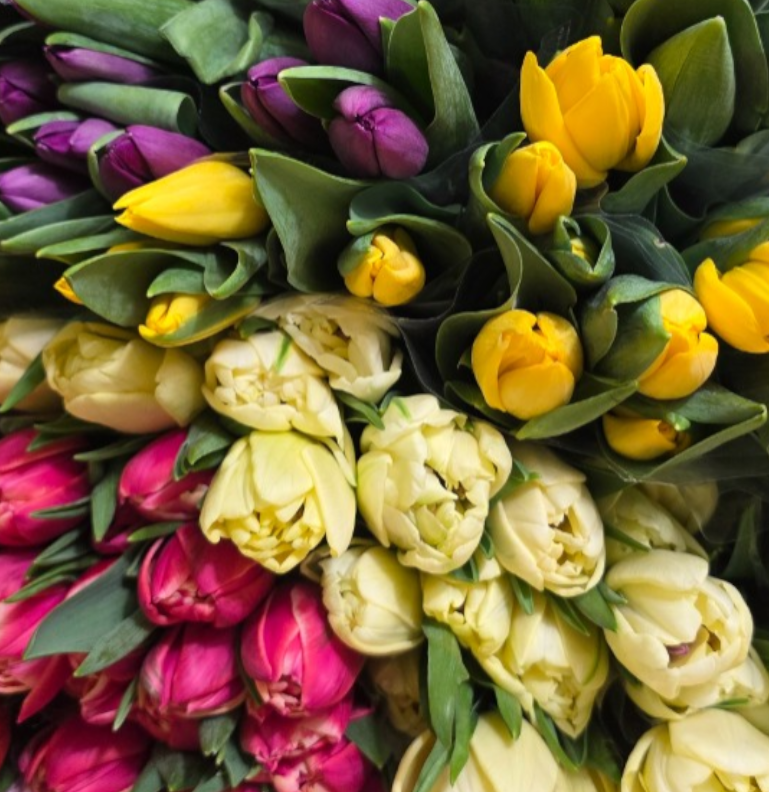 Букет Тюльпан 5шт.