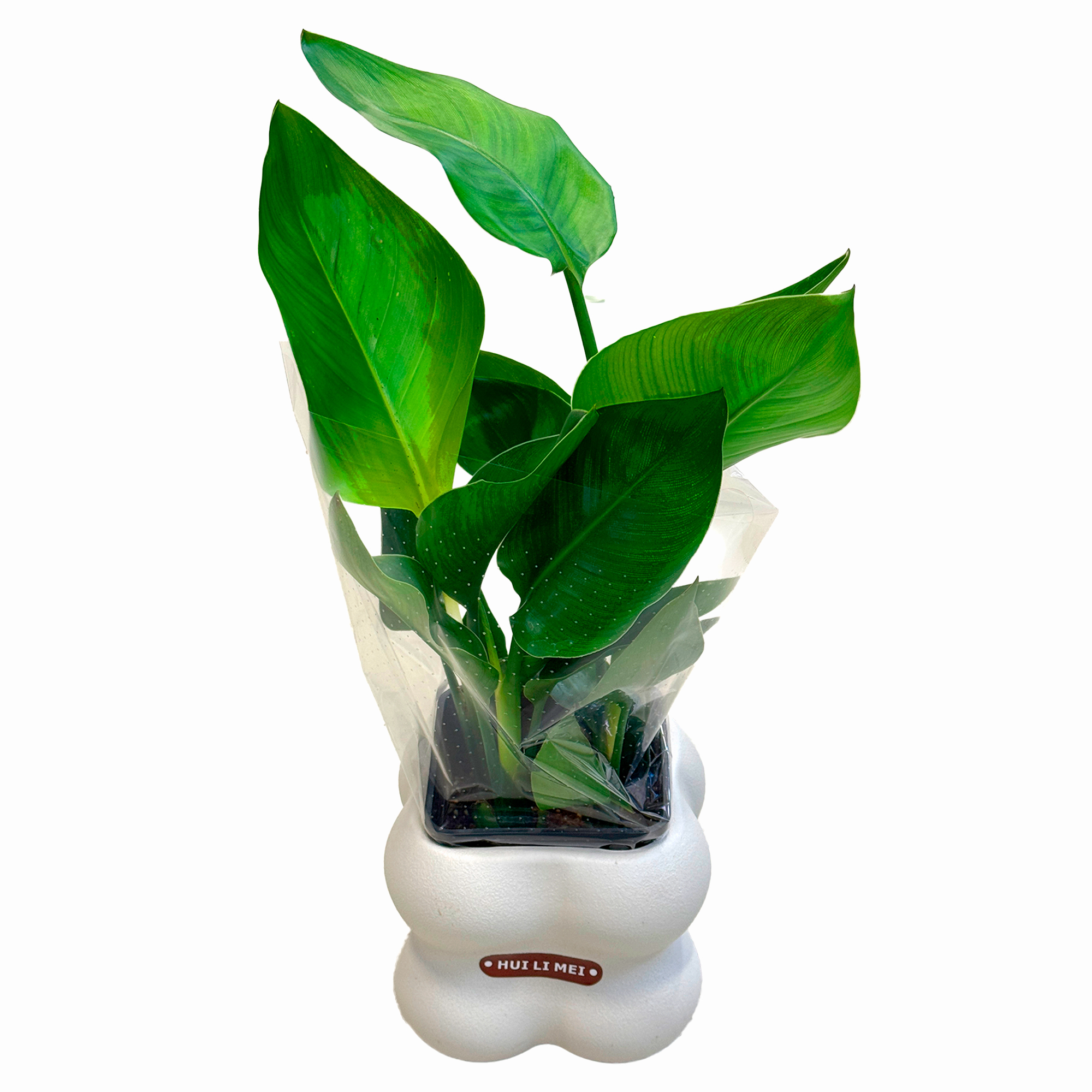 Стрелиция Николая в керамике