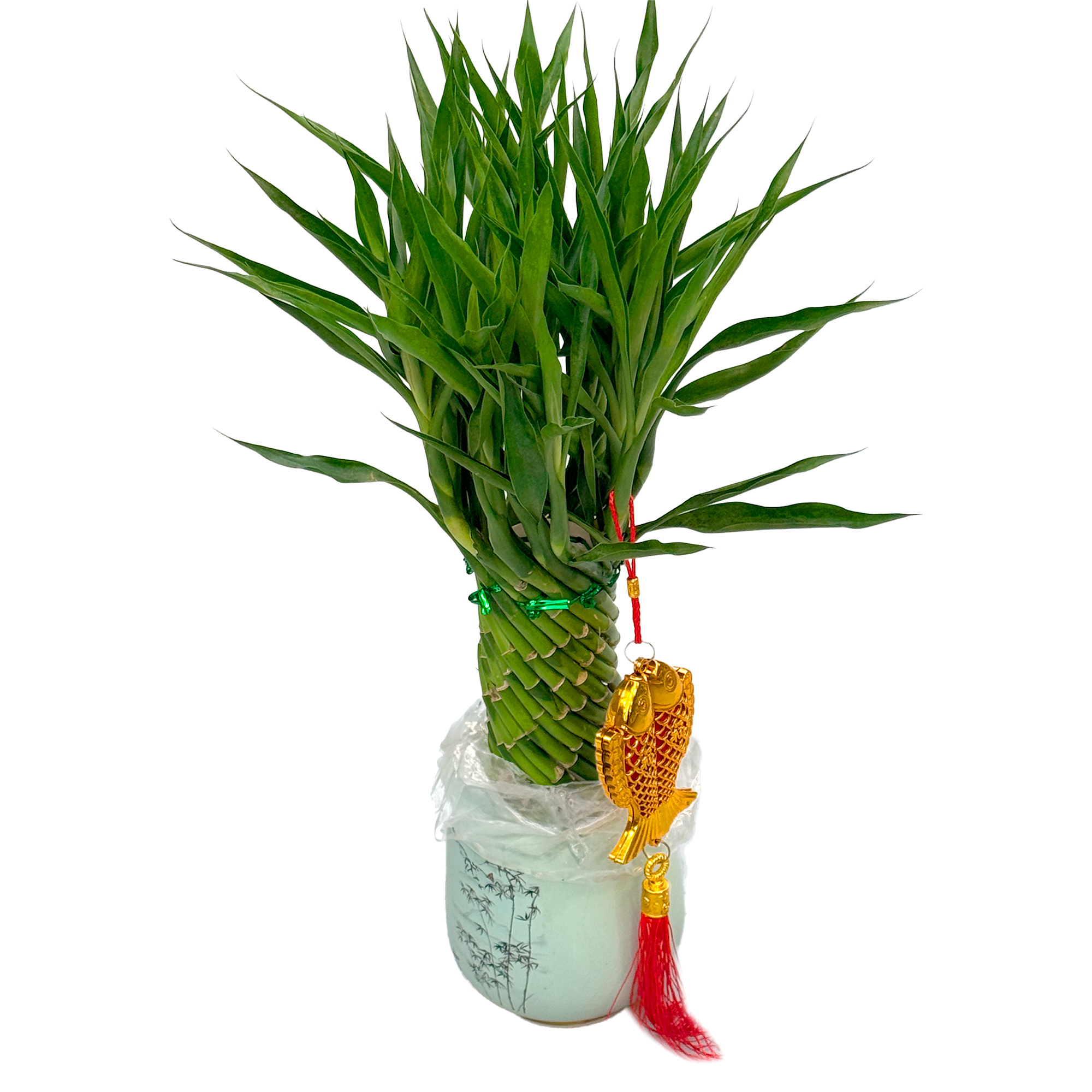 Бамбук лаки в керамике