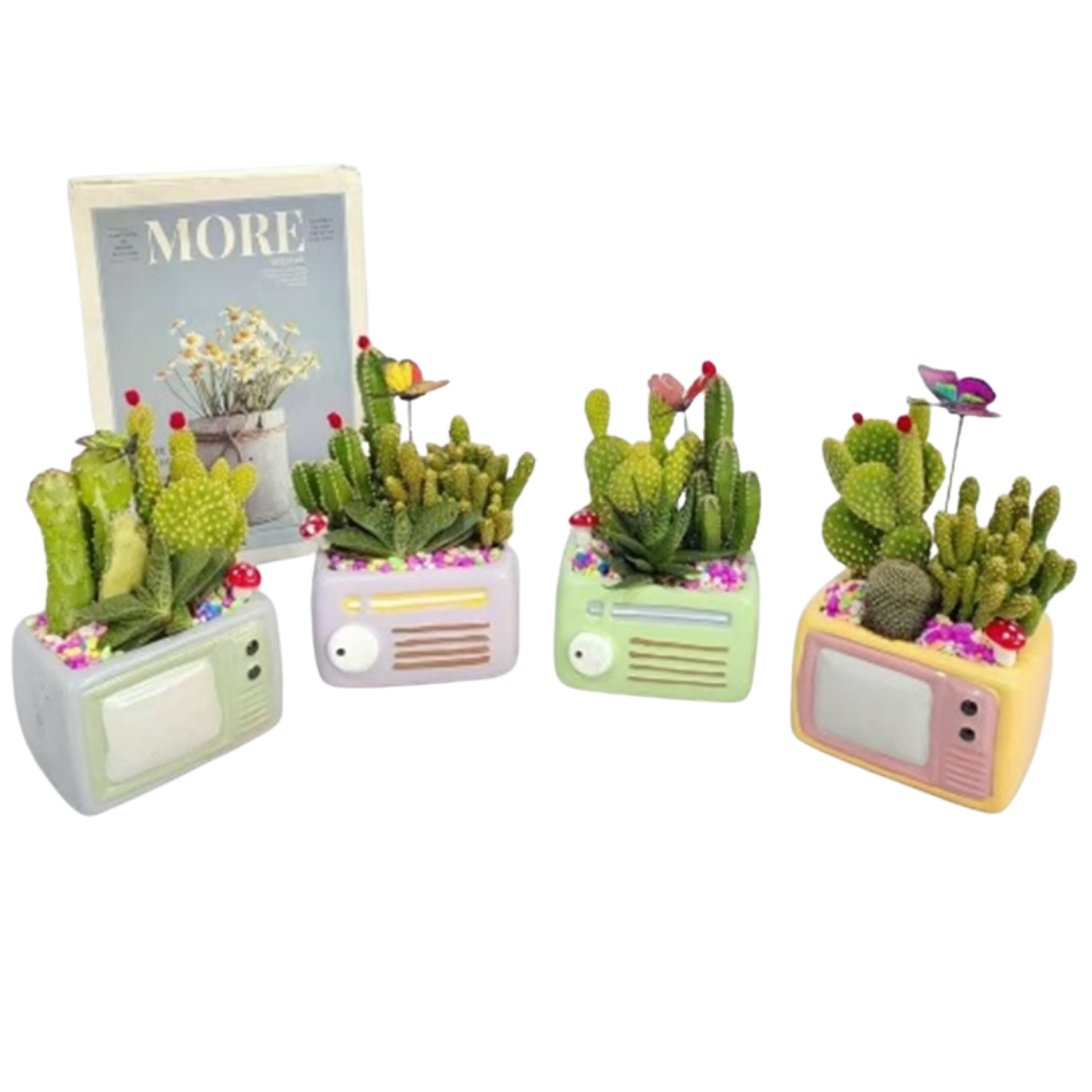 Кактус + Суккулент Микс композиция в цветном кашпо