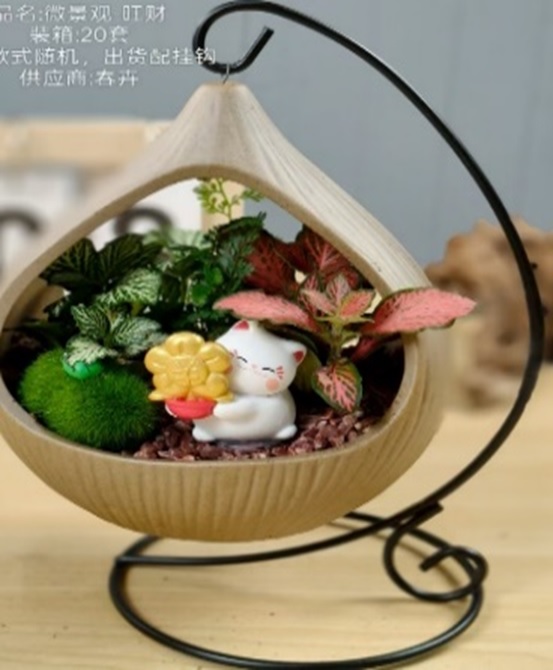 Фиттония Микс подвесная композиция