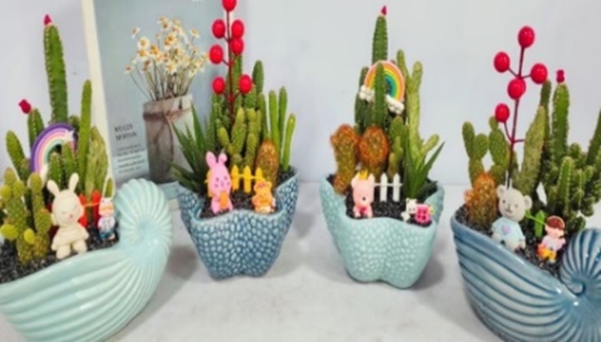 Кактус Микс в керамической ракушке композиция