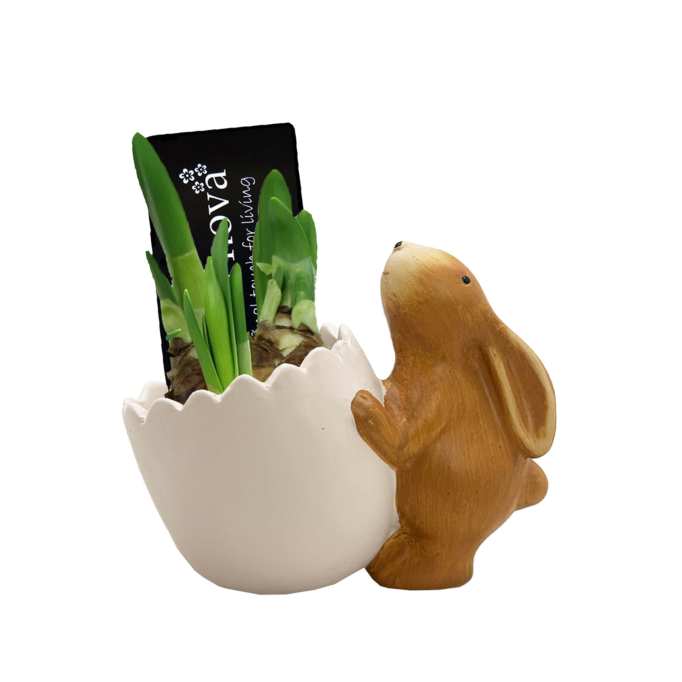 Нарцисс Тет-А-Тет в пасхальной керамике 1433