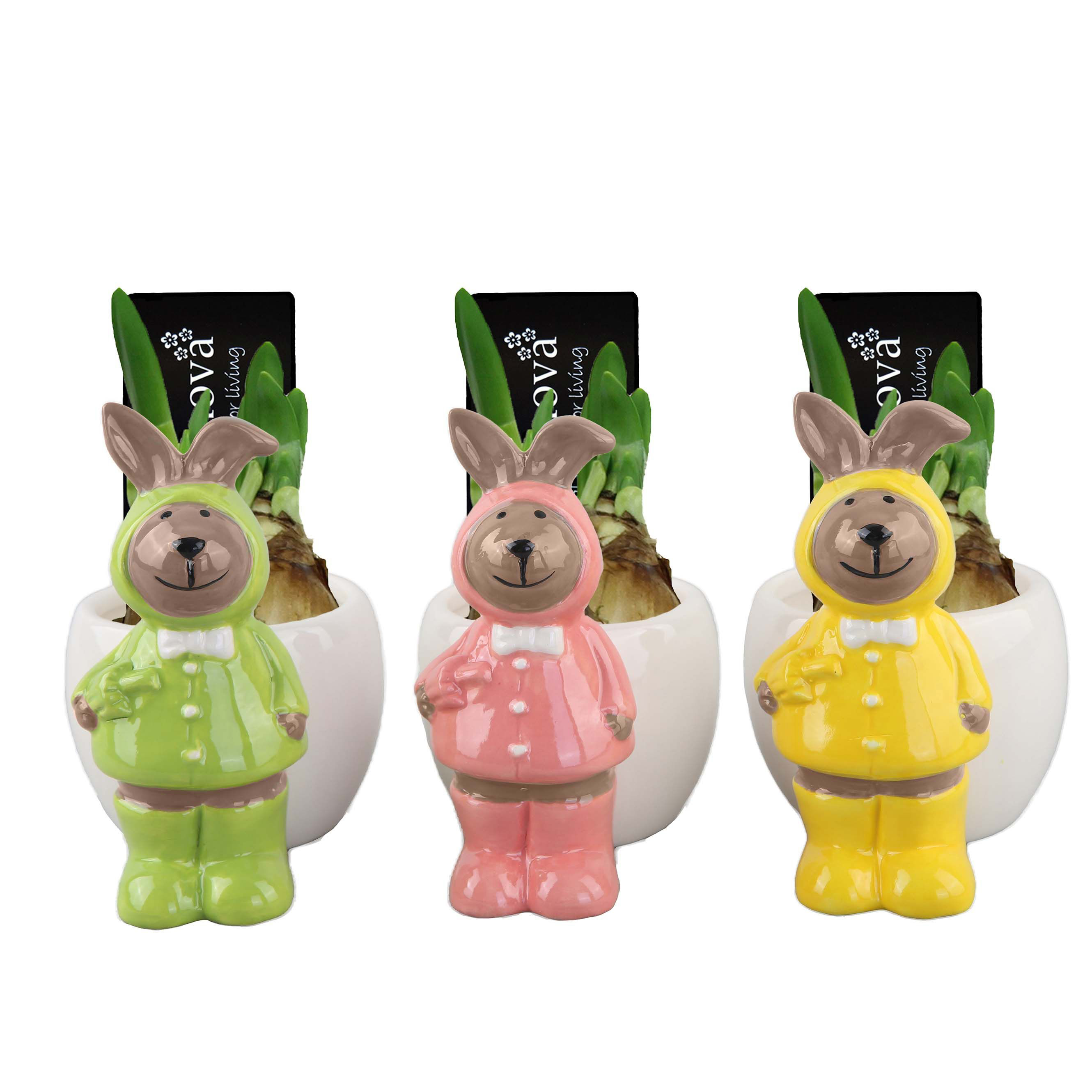 Нарцисс Тет-А-Тет в керамике с кроликом