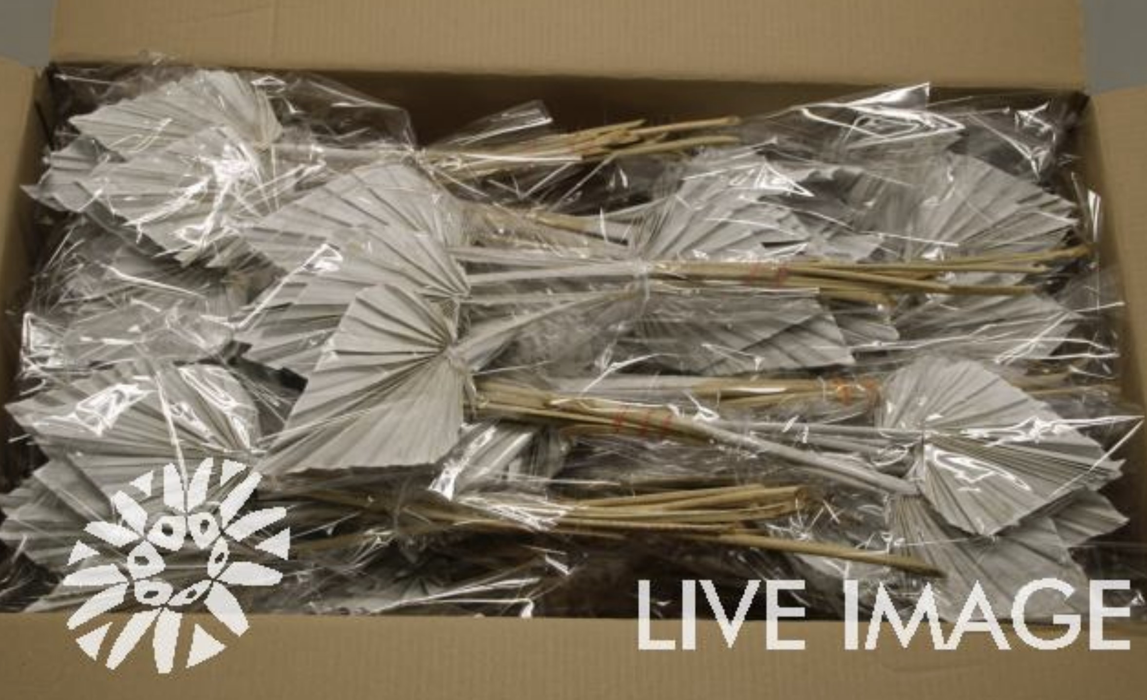 Dried palm spear (10/bunch) paint frosted white