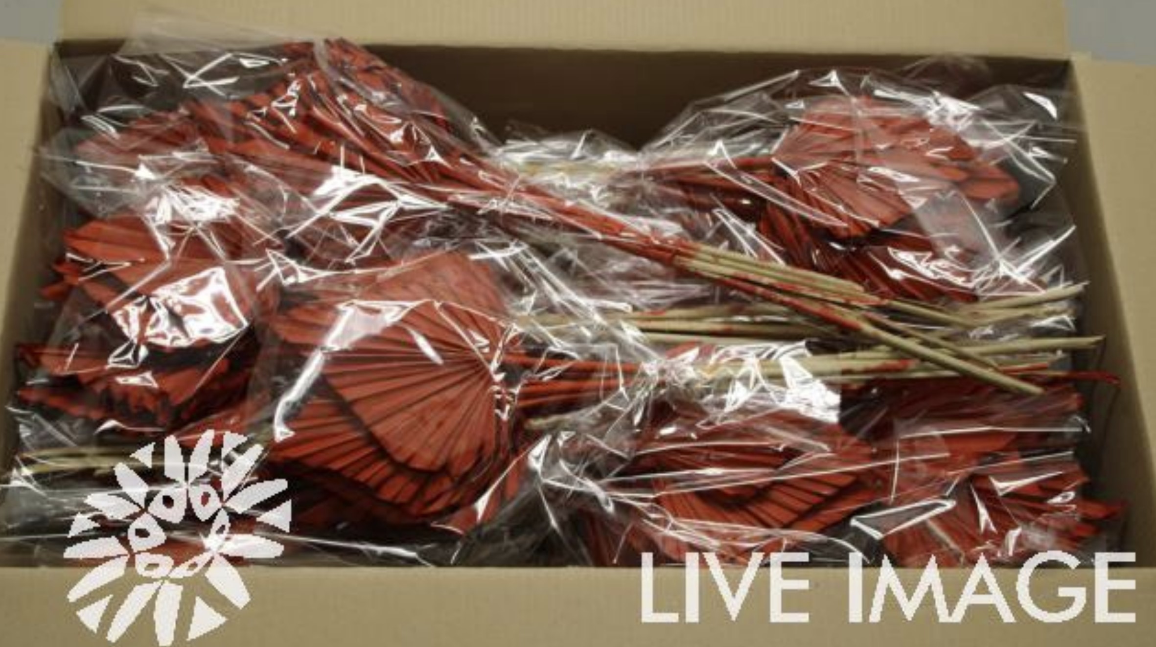 Dried palm spear (10/bunch) paint red