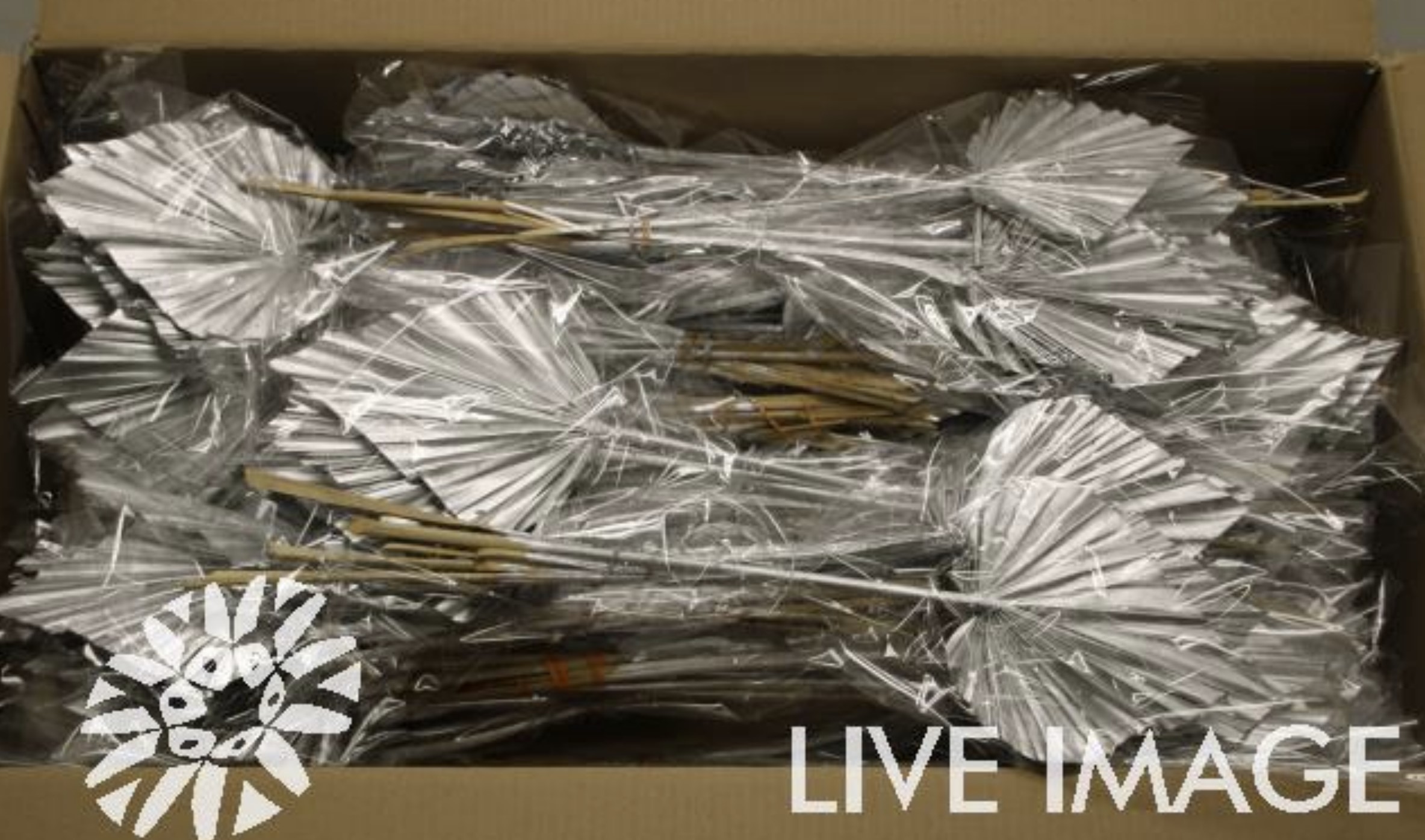 Dried palm spear (10/bunch) paint silver