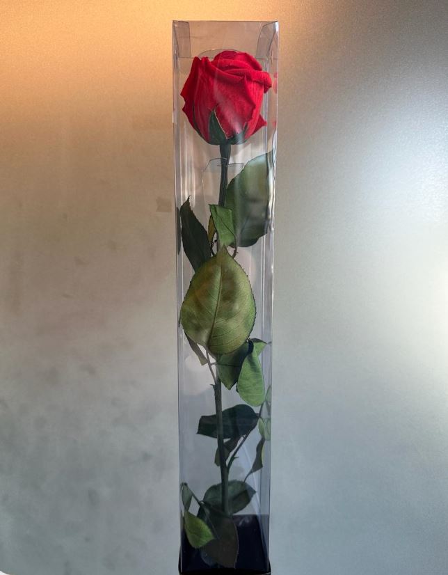 Rose preserved apple red bud on stem