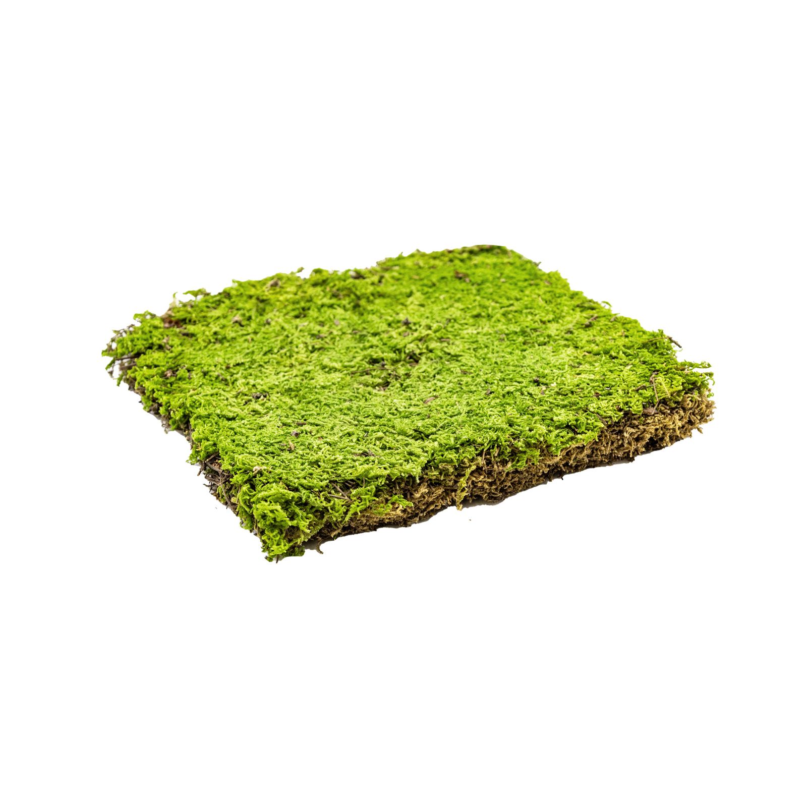 Moss 2 m2