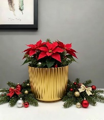 Ceramic pot ribbed