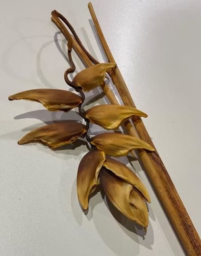 Heliconia preserved carioca large natural