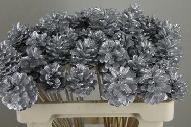 Stick pine cone tinted silver