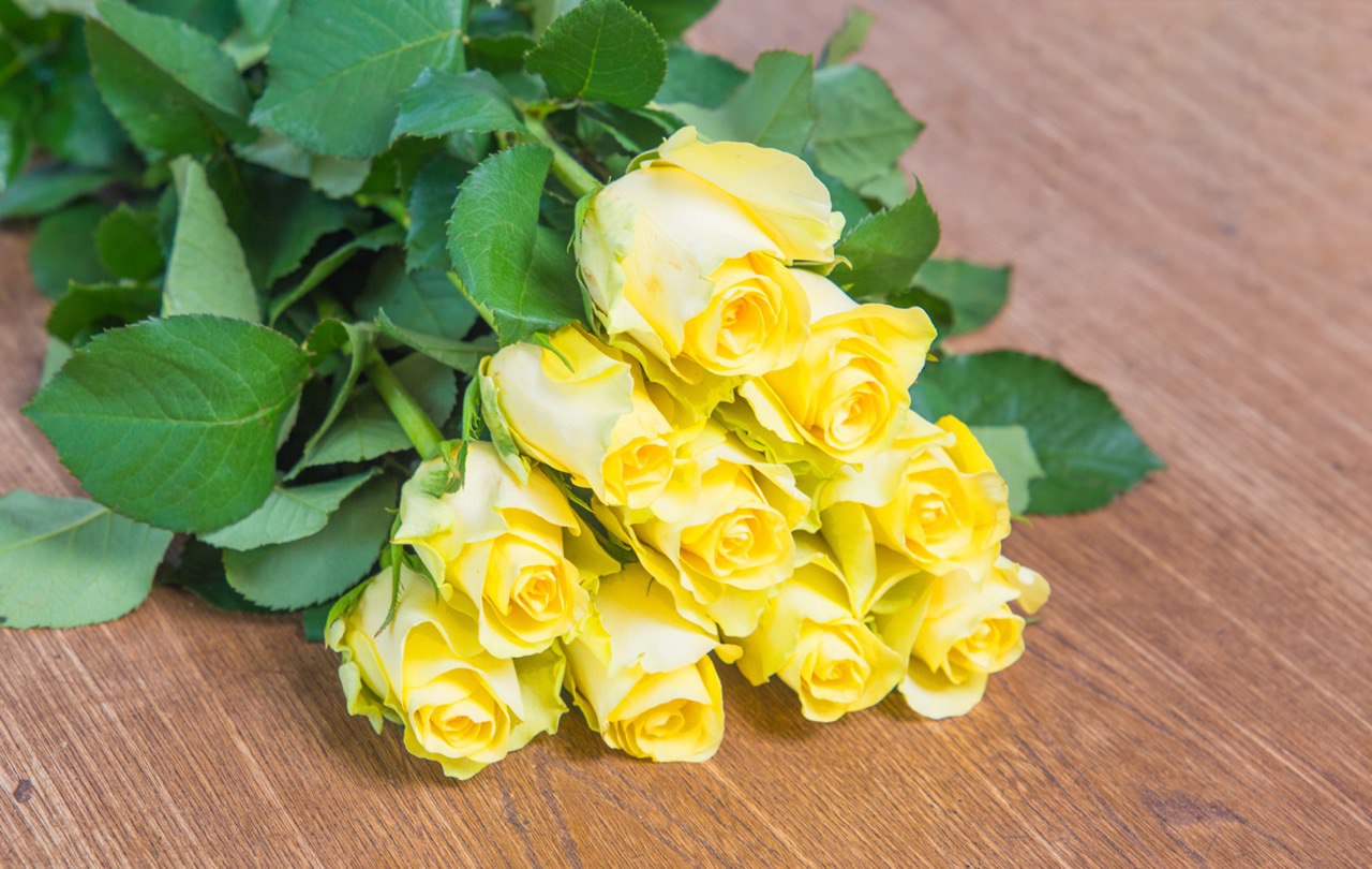 Rose minion rose
