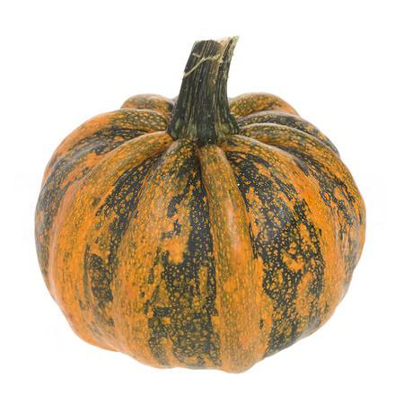 Cucurbita kamo-kamo