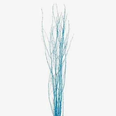 Ветки Береза краш. лазурная в Москве