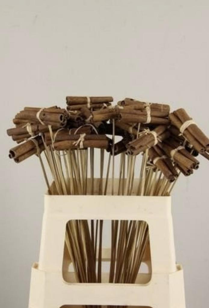 Cinnamon natural sticks 8cm op stok 50cm