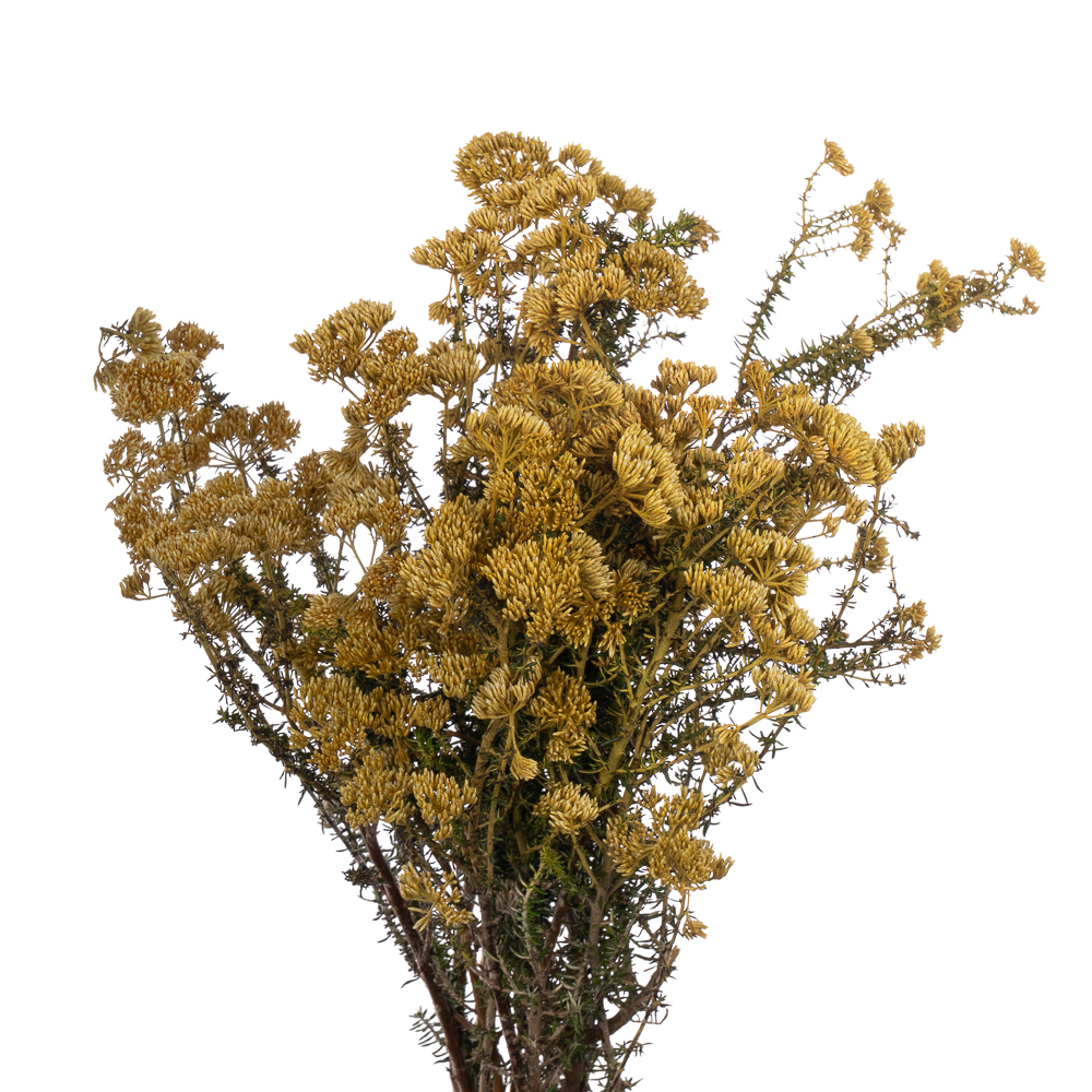 Капс краш. металасия желтый в Москве