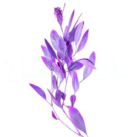 Листья Эвкалипт краш. популус бадс розовый металлик в Москве