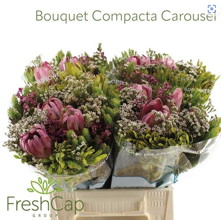 Bouquet compacta carousel