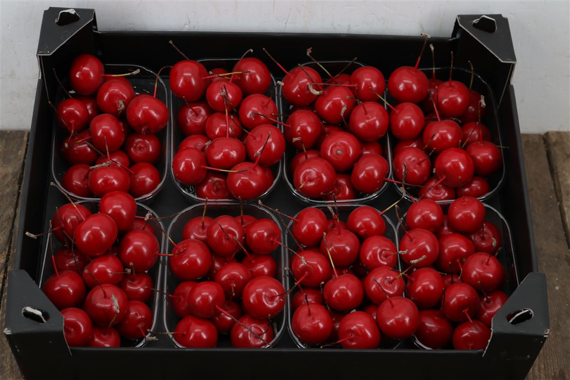 Декор яблоки в воске красные