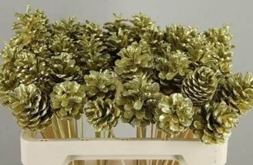 Stick pine cone tinted gold
