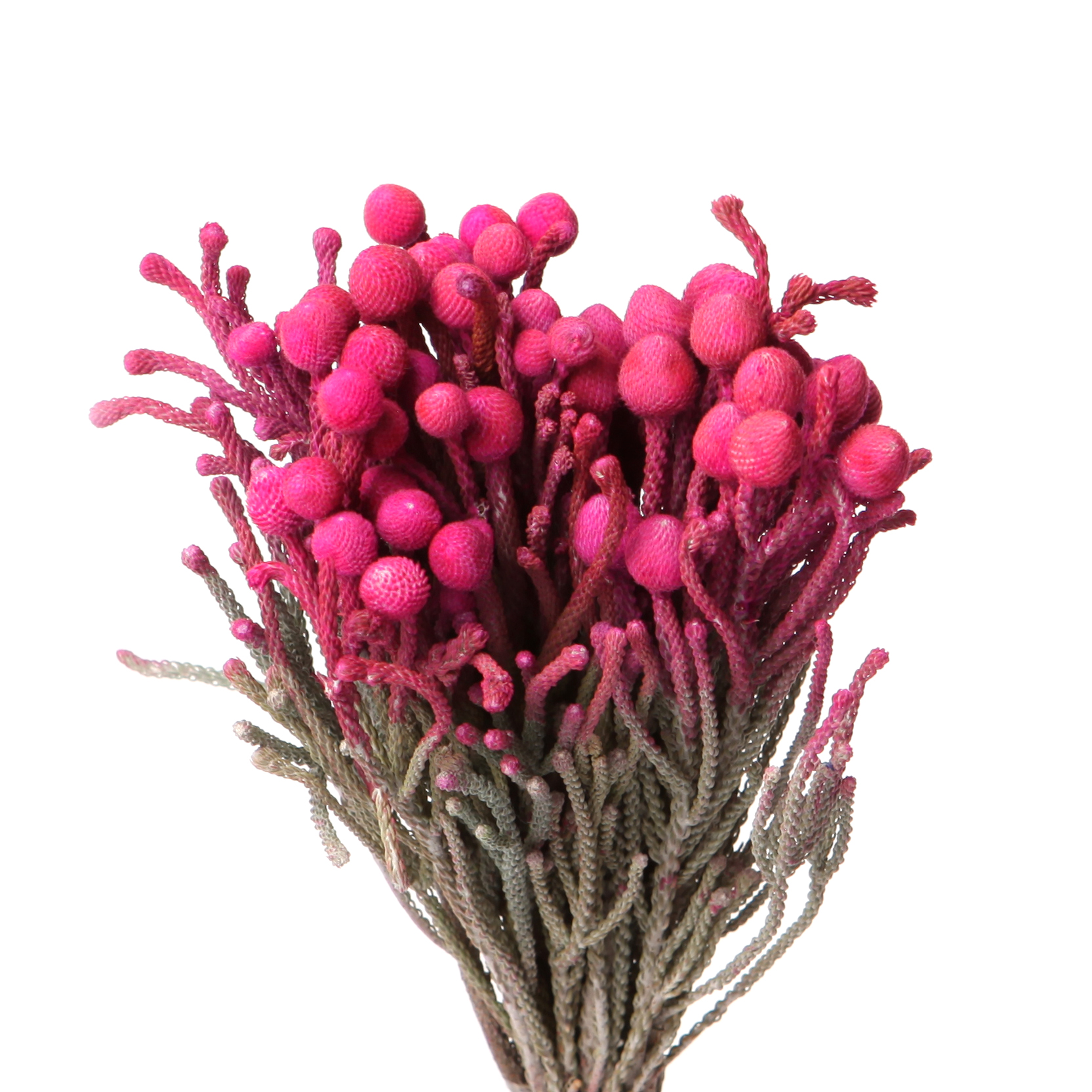 Капс бруния левис краш. розовый в Москве