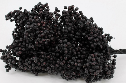 Pepper schinus mollis black