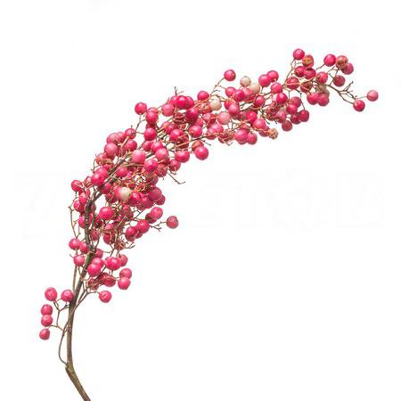 Pepper dry flower in bunches