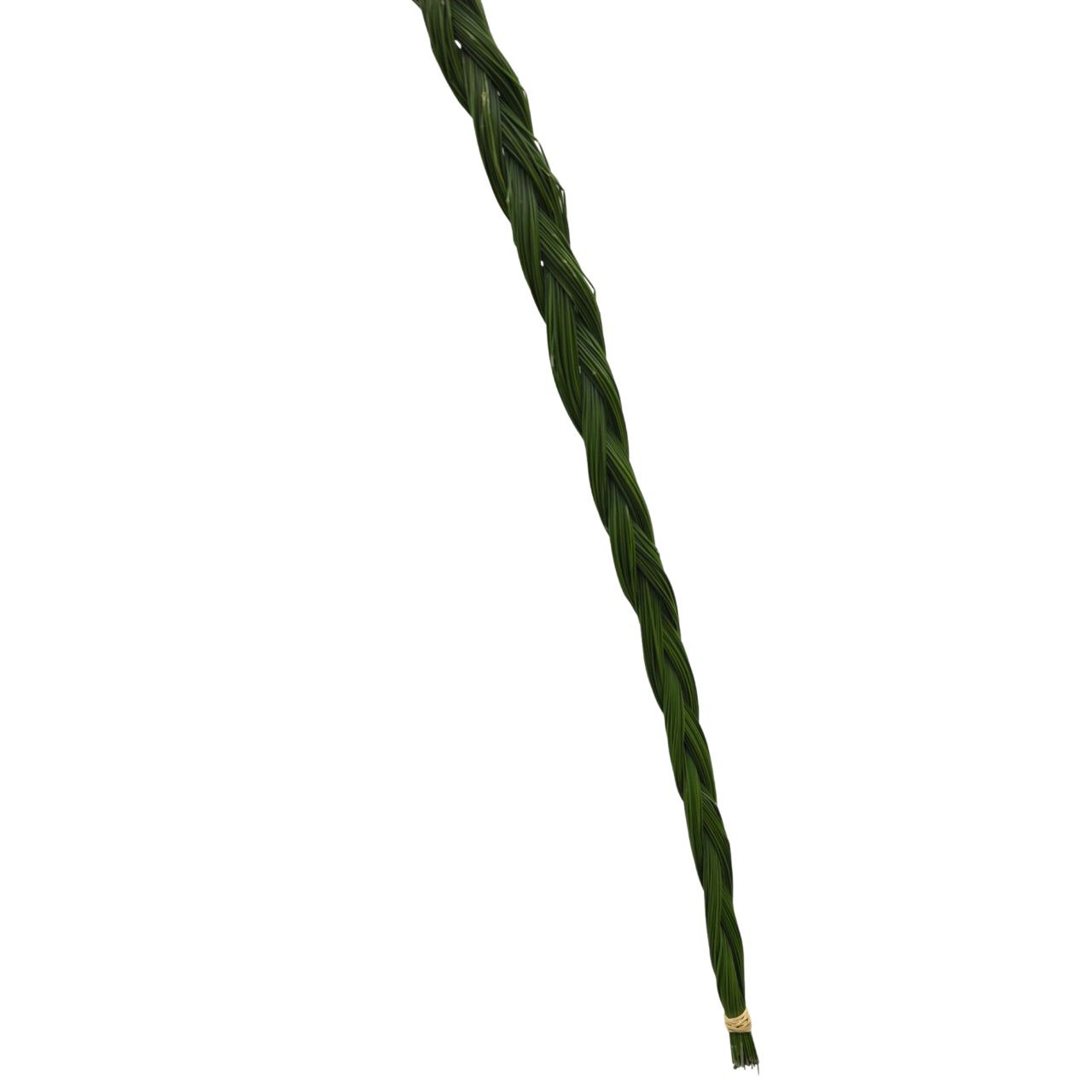 Осока грин в Москве