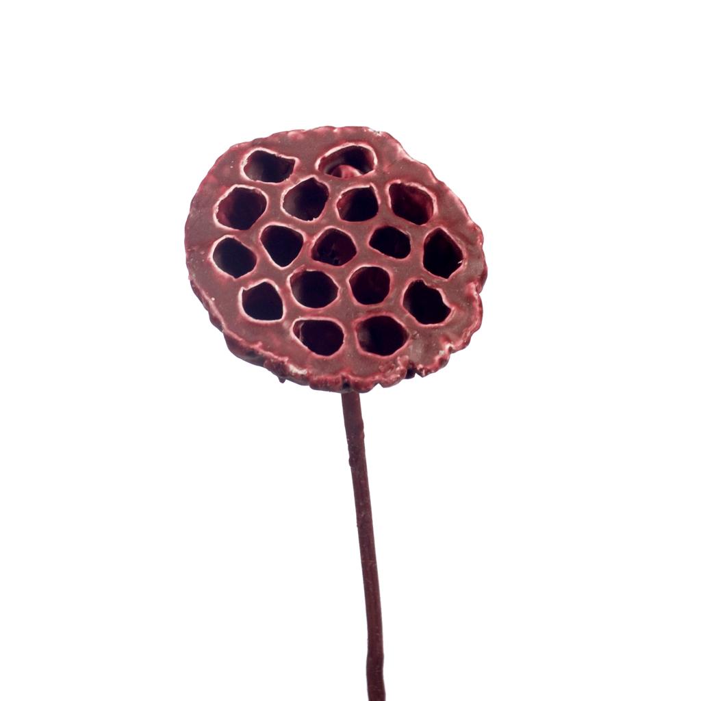 Декор плод лотоса в красном воске