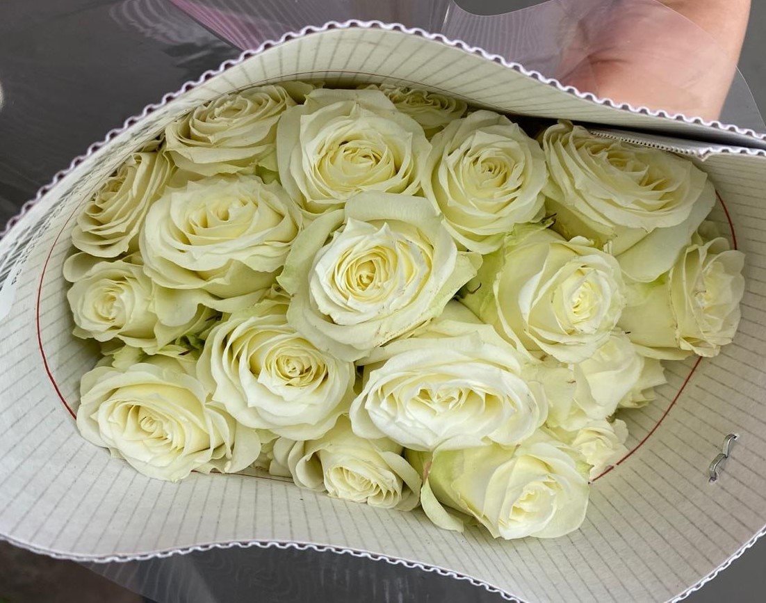 Роза куст белый