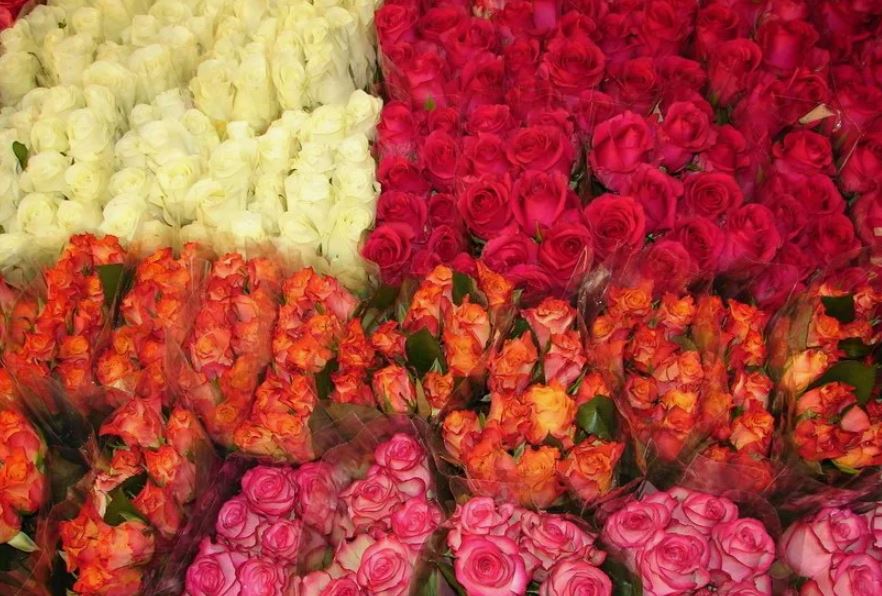 Роза однг микс без красной в Санкт-Петербурге