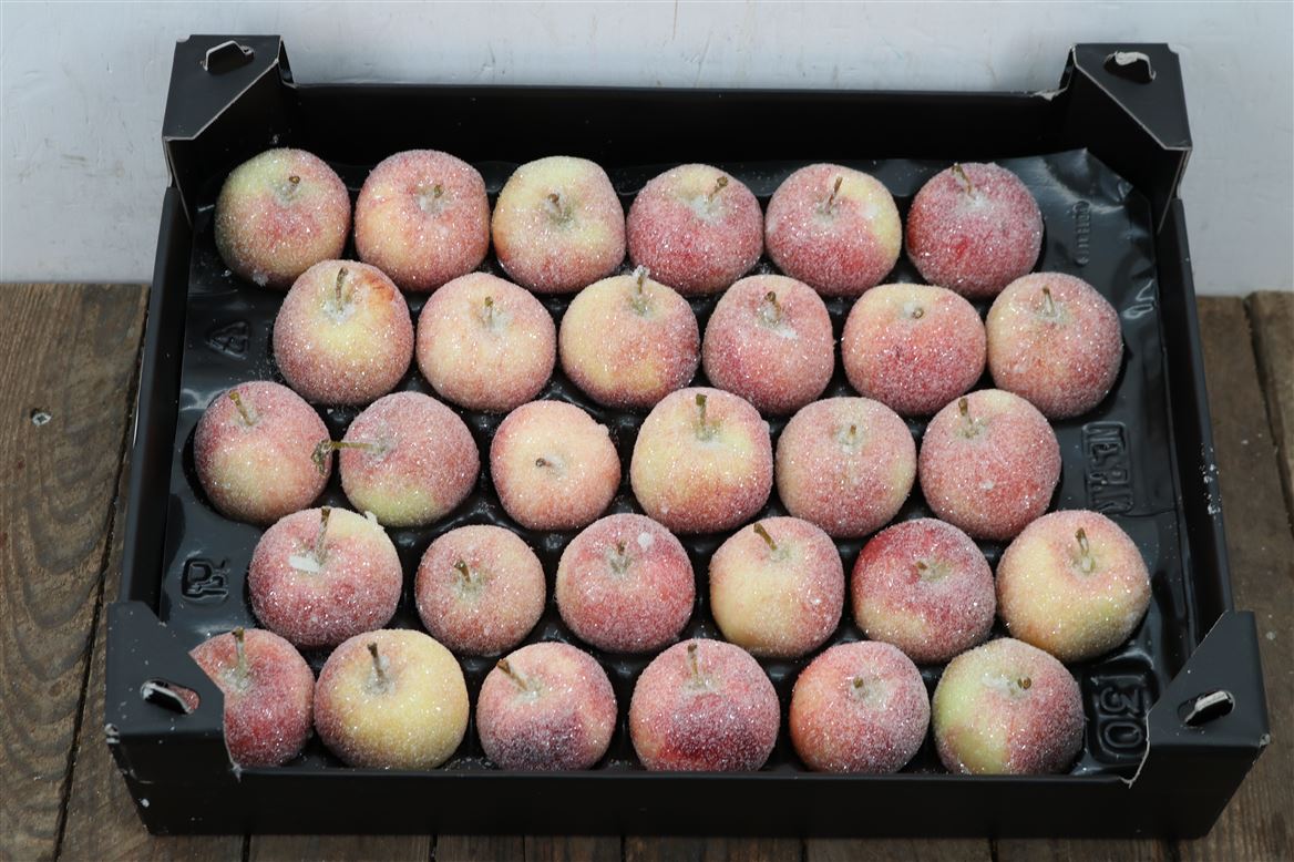 Декор яблоки в воске натурель с блёстками в Москве