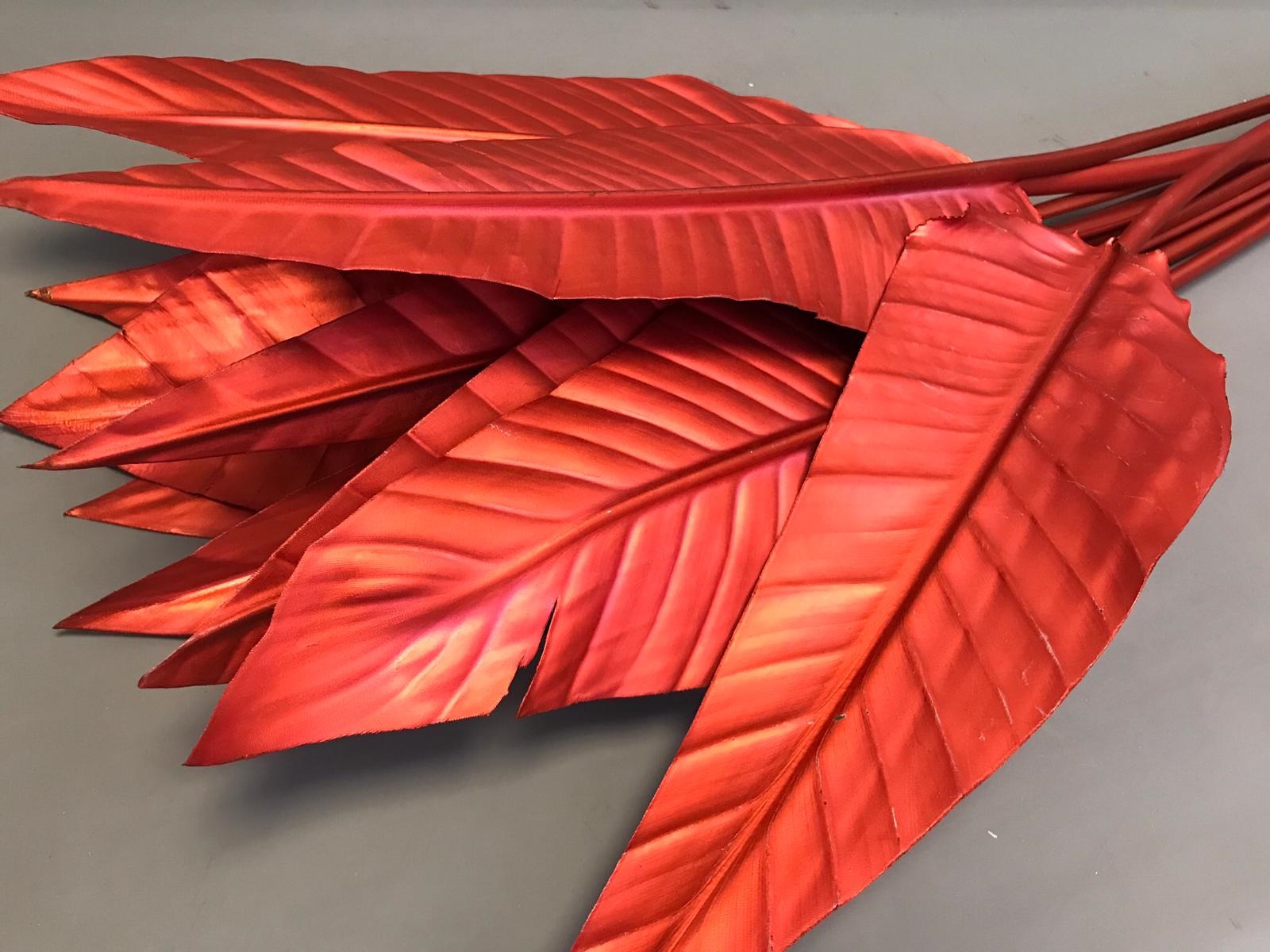 Blad Strelitzia dyed red 