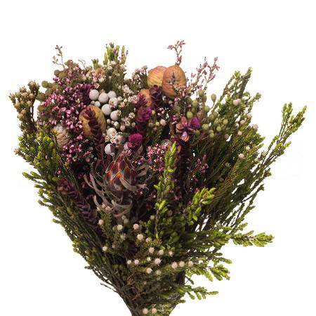 Bouquet cone mix jumbo | Wholesale flowers, plants and supplies Bouquet cone mix jumbo