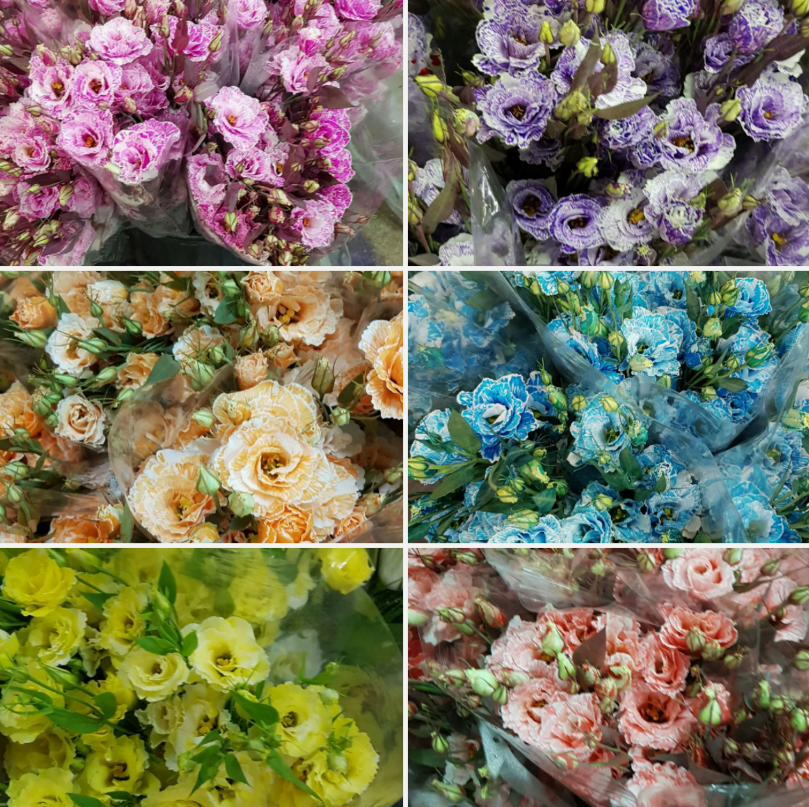 Лизиантус ду краш. микс в Москве