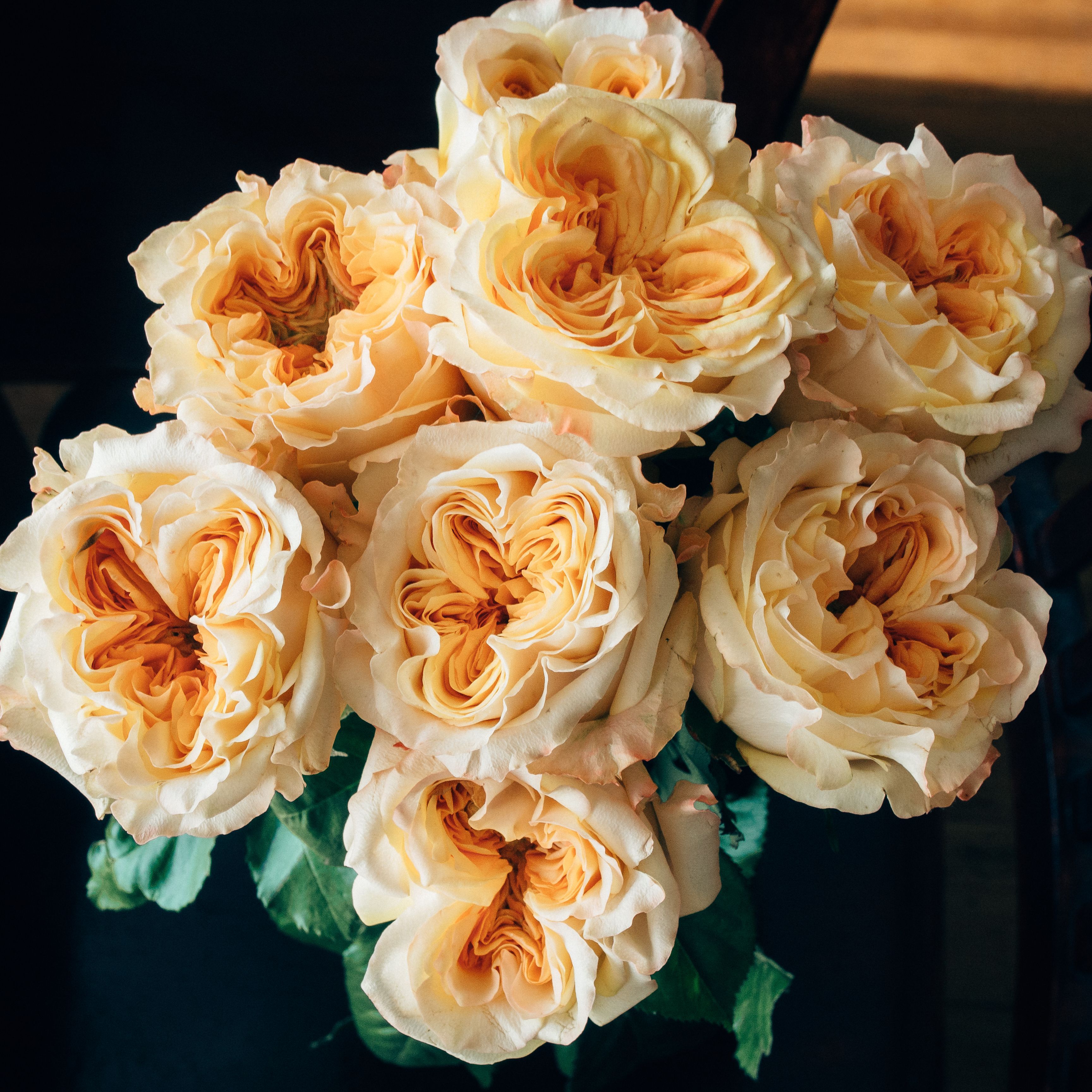 Роза гр веддинг экспрешен