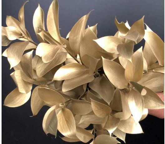 Blad Ruscus tinted gold