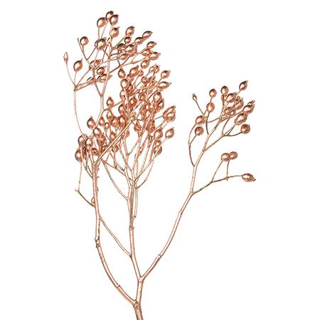 Rose rose hip dyed copper